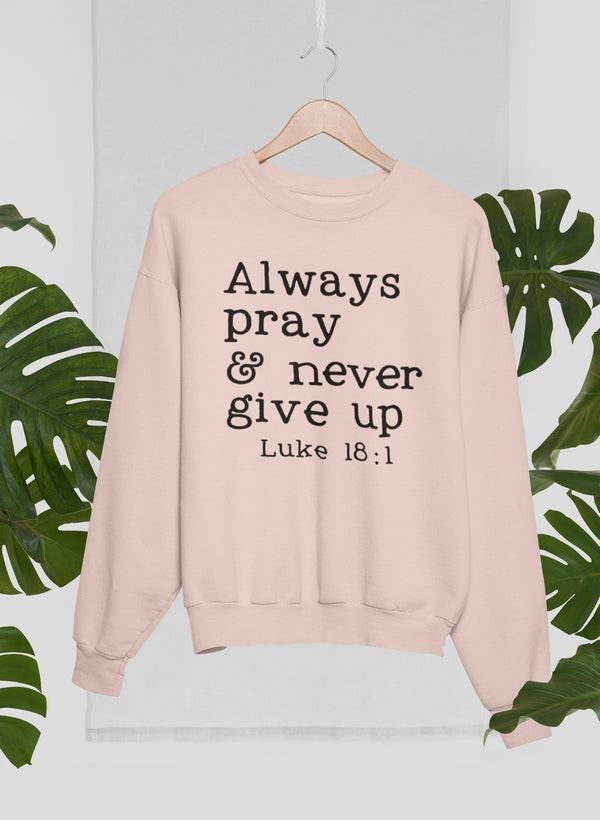 Pink sweatshirt with motivational text on a hanger against a light background with green leaves.